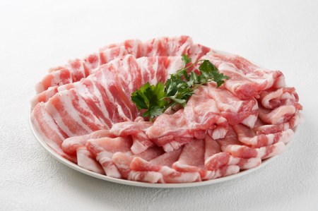 鹿児島県 曽於市産 曽於 ポーク 県産 鶏 セット 合計4.5kg 豚肉 鶏肉 切り落とし【Rana】A410-v02