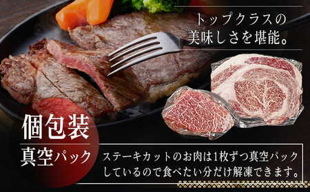 宮崎牛モモ・リブロースステーキ1.2kgセット_AD-2510_(都城市) 都城産 宮崎牛 モモ 100g サイコロステーキ 200g リブロースステーキ 300g 塩こしょう ステーキソース付