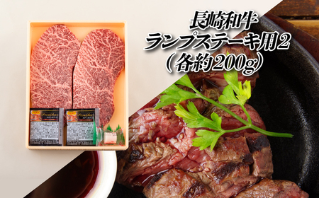 【ヒレ含む！全12回定期便】長崎和牛 おまかせステーキ便 総計4.34kg 希少部位ステーキ多数 ヒレ フィレ ランプ イチボ ミスジ マルシン サーロイン A4等級以上に厳選【田中精肉店】