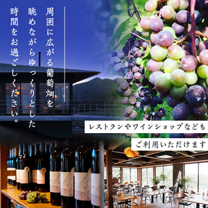 ＜平日限定一棟貸し切り＞Retreat了美七ツ森 宿泊券 (～7名様まで) 自社ワイン2本付き ワイナリー サウナ ウッドデッキ キッチン 旅行【了美ワイナリー】ta431 [ta431]