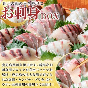 厳選お刺身BOX(4～6人前) 国産 お刺身 魚貝 魚介 鯛 カンパチ ブリ 海産物 刺身 おつまみ セット 【さるがく水産】akn028-16