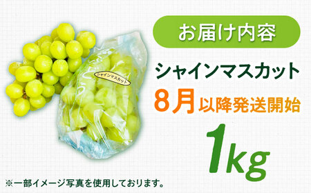 【2026年発送 先行予約】シャインマスカット 1kg / 佐賀県 / リフルット株式会社 [41ABAA011]