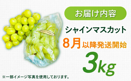 【2026年発送 先行予約】シャインマスカット 3kg / 佐賀県 / リフルット株式会社 [41ABAA015]