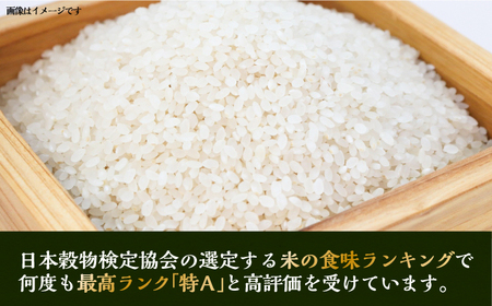 【全2回定期便】壱岐産米 にこまる 5kg《壱岐市》【壱岐市農業協同組合】[JBO134]