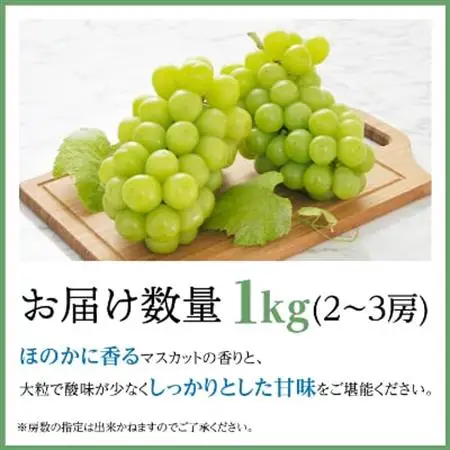 2026年発送　【信州産】シャインマスカット1kg【1246230】