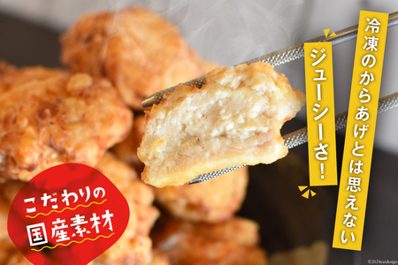 唐揚げ 能登から&ごちから詰め合わせ 能登から3種(200gx3袋) ごちから2種(300gx2袋) 鶏皮せんべいx1 [からあげ専門店おっSAMA 石川県 宝達志水町 38600917]