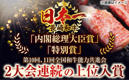 【訳あり】【A4~A5】長崎和牛焼肉切り落とし(肩ロース・バラ）　500g【株式会社 MEAT PLUS】[QBS003]