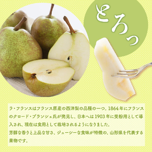 【先行予約】 令和8年産 ラ・フランス 約3kg 8玉 ～ 9玉
