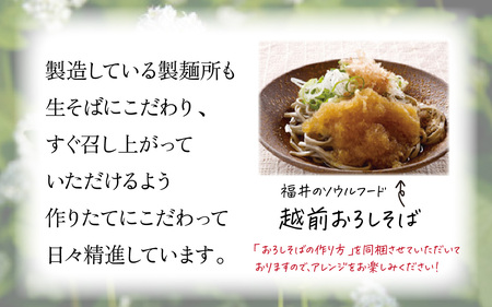 越前生そば 10食入（110g/1食）だし付 [A-067002] / そば そば