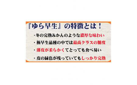 ゆら早生みかん 約4kg みかん【nuk162B】