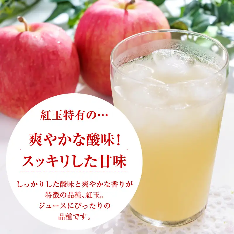舘山りんご 紅玉 100％ りんごジュース 720ml × 2本