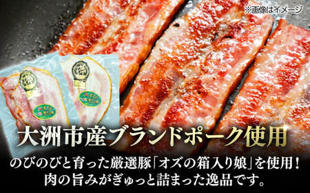 ベーコン【全12回定期便】スライスセット（プレーン×5個 七味入り×5個） ベーコン[AGAZ048]