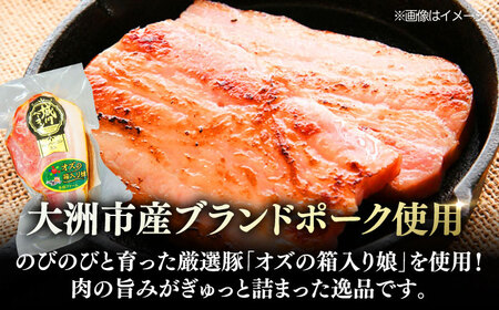 ベーコン【全6回定期便】ブロック180g×10個セット ベーコン[AGAZ056]