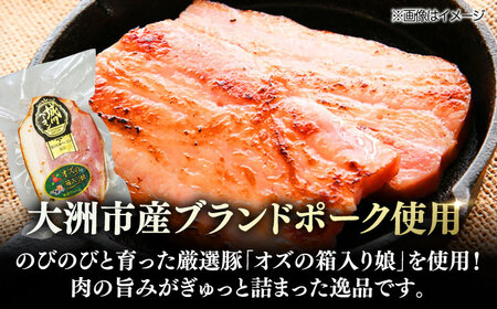 ベーコン【全3回定期便】ブロック（七味入り）180g×6個セット  ベーコン[AGAZ061]