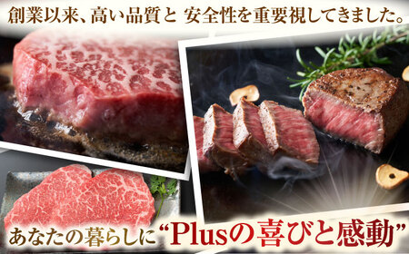 【全3回定期便】【A4~A5】長崎和牛モモステーキ　約1kg（100g×10p）【株式会社 MEAT PLUS】[QBS108]