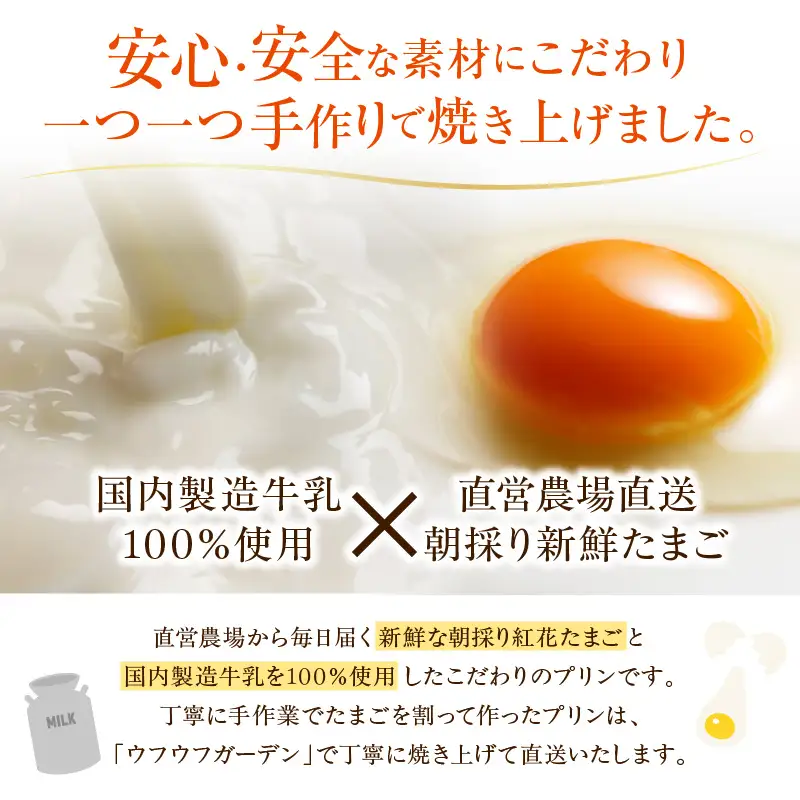 《1日10セット限定》 ウフウフガーデンのとろ生プリン（90g×6個）