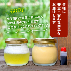 ゼリー プリン セット 6個 ゼリー