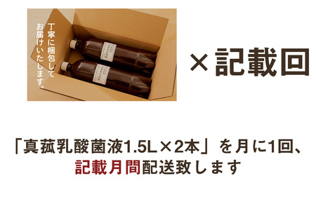 【定期便】真菰（まこも）乳酸菌液　1.5L×2本　3ヶ月定期便【n0510-03_nyu】