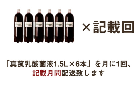 【定期便】真菰（まこも）乳酸菌液　1.5L×6本　6ヶ月定期便【n0511-06_nyu】