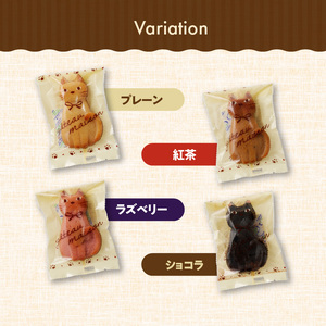 くんねこ　ねこのフィナンシェ　10個入り[115N03]