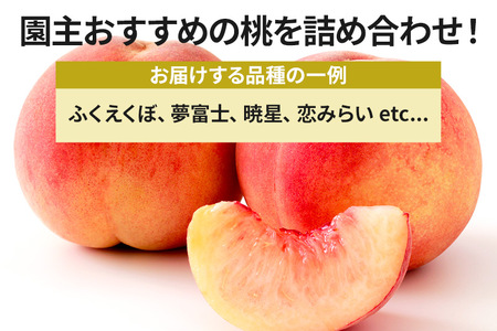 《7月上旬～7月下旬にお届け》 園主おすすめの桃 約5kg 詰め合わせ 早生品種 ご自宅用 フルーツ王国松井