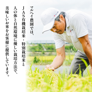 【先行予約】【 令和8年産 】 特別栽培米 つや姫 計 10kg ( 5kg × 2袋 ) 2026年産 産地直送 農家直送 ブランド米