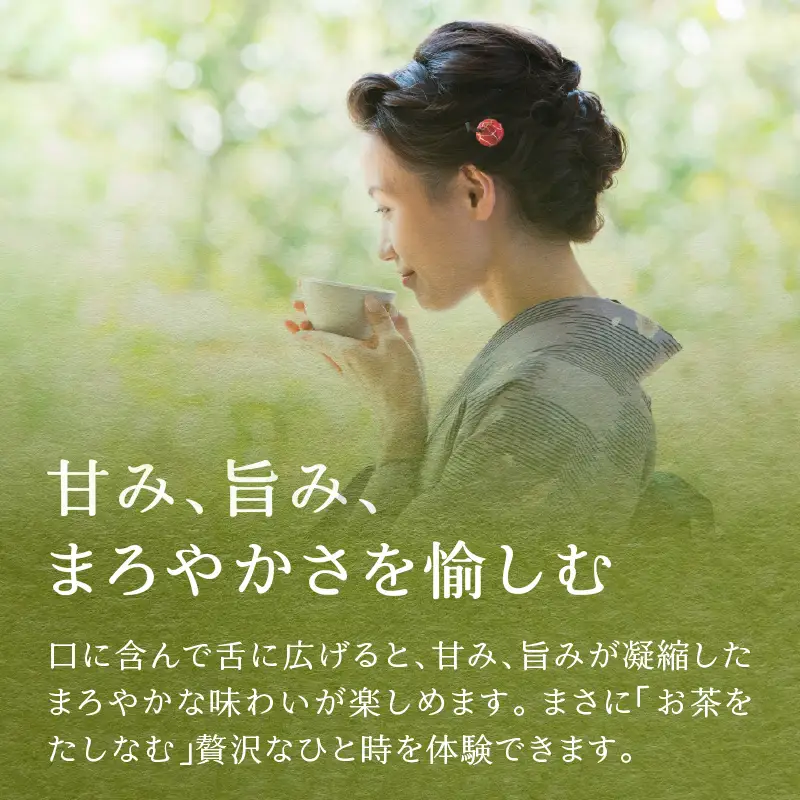 贅沢なひとときを楽しむ、氷水出しすすり茶（ティーバッグ）12個入り×5袋 お茶 八女茶 贅沢 嗜む 福岡県 八女市 071-004