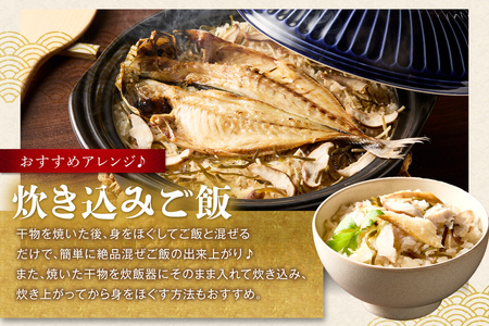 山陰浜田 創業大正10年香住屋のこだわり干物「どんちっちあじ一夜干し」魚介類 干物 おつまみ おかず あじ 一夜干し 【024_1992】