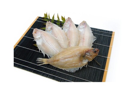 山陰浜田 創業大正10年香住屋のこだわり干物「水かれい一夜干し」 魚介類 干物 おつまみ おかず カレイ 水かれい 一夜干し 【024_1993】