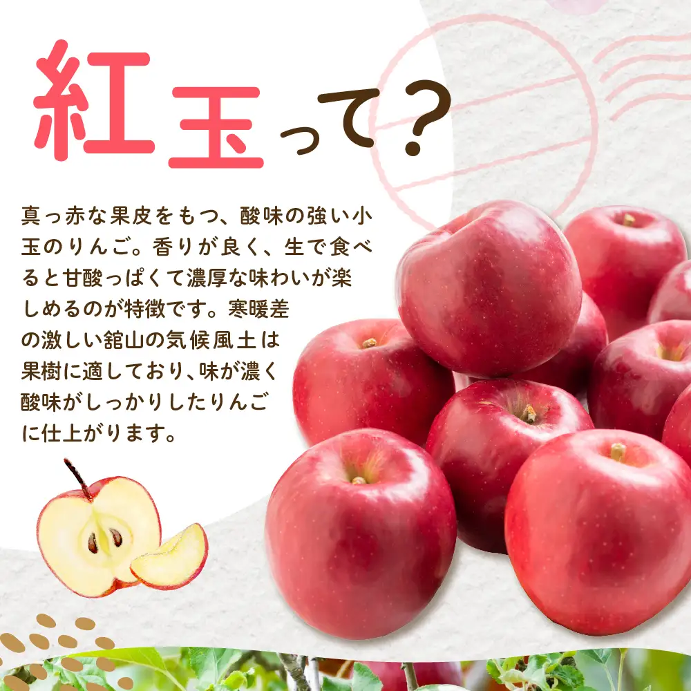 【先行予約】 令和8年産 紅玉 りんご 約2kg 舘山 りんご