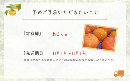 【数量限定】 富有柿 （約3kg） 柿 果物 フルーツ