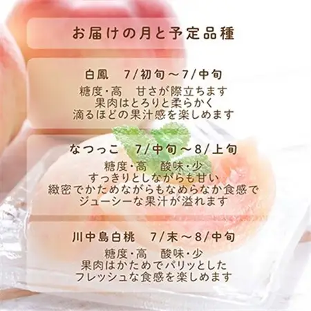 先行受付!　桃(特秀品)食べきりやすい3個入り【2026年6月下旬より順次発送】【配送不可地域：離島】【1525342】