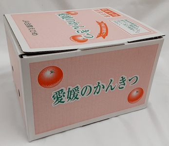 【2026年先行予約】紅まどんな 1.5kg (5～13個) ご家庭用 愛媛みかん 愛果28号 紅マドンナ まどんな マドンナ みかん ミカン 蜜柑 果物 くだもの フルーツ 柑橘 かんきつ 柑橘類 愛媛果試第28号 あいか おすすめ 人気 お取り寄せ 国産 愛媛 伊予市＜2026年11月下旬から12月下旬発送＞｜B249