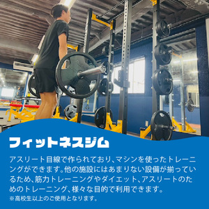 ゴリラパーク 体験チケット 一般 チケット体験チケット割引チケット割引券