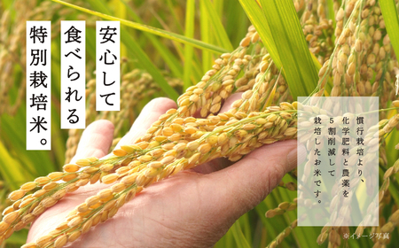 米 定期便 3ヶ月 JAふくしま未来 コシヒカリ 5kg【こらんしょ市】