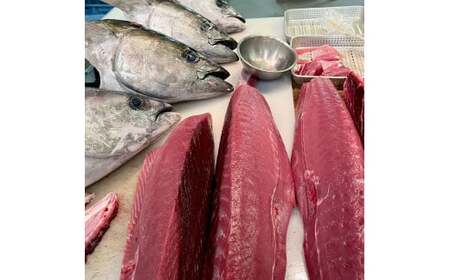天然マグロ ブロック 約400?500g 4~6人前 /まぐろ 赤身 鮪 魚 さかな 海鮮 魚介 海の幸 赤身 お刺身 海鮮丼 お寿司 おかず おつまみ 惣菜 食品 天然 国産【さかなの森澤　マル祐】 [BQAM013]