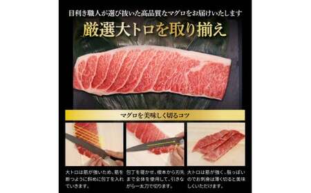 本マグロ 大トロ500g ネギトロ400g(200g×2) ねぎとろ マグロ まぐろ 大とろ 赤身 本鮪 本まぐろ 天然 刺身 刺し身 魚 海鮮 魚介 海鮮丼 ネギトロ丼【株式会社大熊】 [BQAA032]