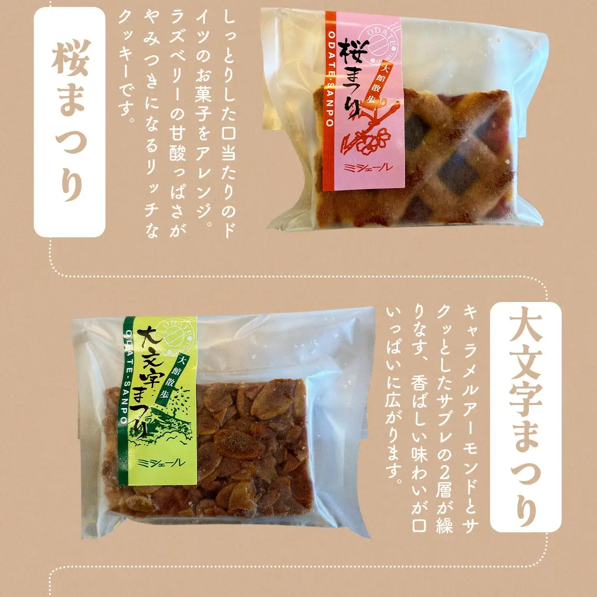 大館散歩　10枚入り　55P5615
