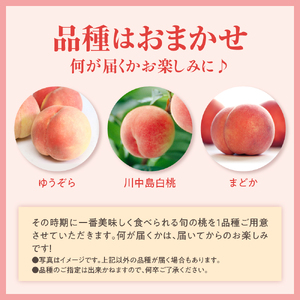 【先行予約】 数量限定 令和8年産 もも 化粧箱入 8～11玉 品種 おまかせ 2026年8月中下旬～9月上旬頃 お届け予定