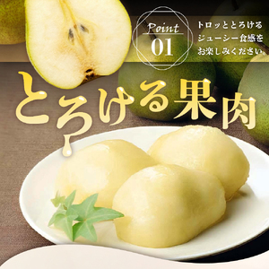 【先行予約】 令和8年産 りんご ＆ ラ・フランス 詰め合わせ セット 各 約2kg 計 約4kg