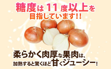 淡路島産 新玉 フルーツ玉ねぎ 8kg【サイズ色々】 / 玉ねぎ