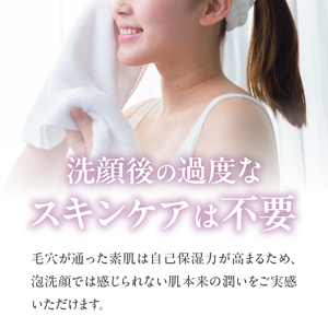 ベールアンドコー マイルドソルトウォッシュ（洗顔料）1本 ベールアンドコー ソルト 洗顔料 スキンケア 透明感