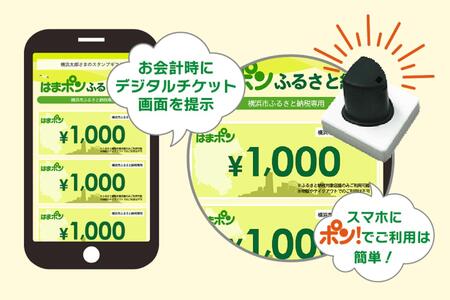 はまポンふるさと納税チケット3000円分（1000円×3枚） AJV0001