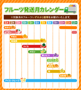 【 定期便 6回 】 2ヵ月毎にお届け！ フルーツ定期便！  高評価 （いちご みかん 不知火 スイカ ぶどう メロン シャインマスカット 梨 柿 アイス クレープ） 1年 フルーツ定期 フルーツ定期便 果物定期便 果物定期 定期便 フルーツ 果物 お試し 旬 取れたて  熊本県 玉名市