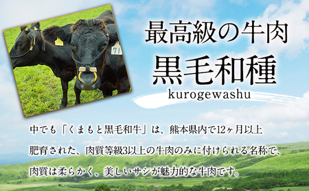 牛肉 くまもと黒毛和牛 すき焼き用 1000g 肉 黒毛和牛 すき焼き 長洲町L（桜屋）《30日以内に出荷予定(土日祝除く)》