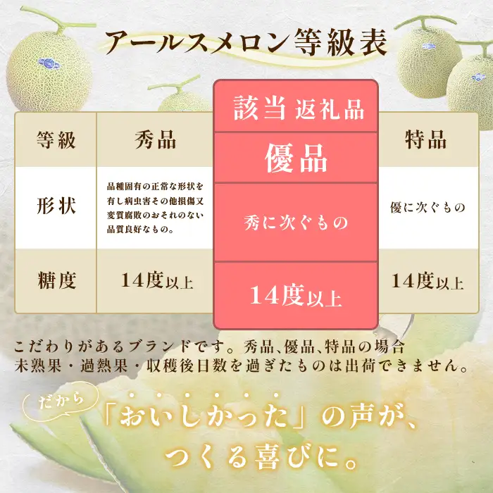 490 アールスメロン 3～5玉 約8kg 優品以上 高級 茨城 JA水戸産
