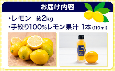 レモン 約2kg と 手搾り100％レモン果汁 1本 セット《12月中旬‐2月末頃出荷》熊本県 玉名郡 玉東町 菅本果実園 檸檬 レモンジュース レモネード はちみつレモン