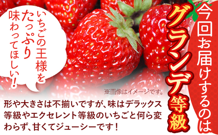 【3ヶ月定期便】あまおう540g(270g×2パック) 先行予約 いちご  定期便 フルーツ《2027年1月から出荷開始》 苺 旬 くだもの 果物 福岡県 鞍手町