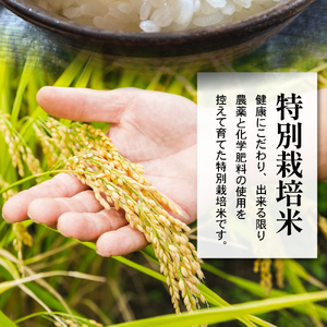 【先行予約】【 令和8年産 】 JAS有機栽培 つや姫 計 4kg ( 2kg × 2袋 ) 玄米可 2026年産 産地直送 農家直送 ブランド米