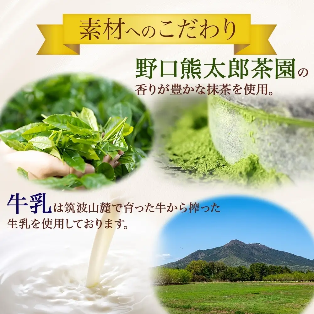 無地熨斗 つくばぷりん 抹茶ぷりん 6個 冷凍 プリン ぷりん 抹茶 まっちゃ 茶 お茶 スイーツ 贅沢 洋菓子 おやつ 冷菓 ご褒美 デザート 専門店 和スイーツ 人気 グルメ お取り寄せ ギフト プレゼント 贈り物 贈答品 化粧箱 つくば 冷凍 送料無料 ふじ屋 茨城県 桜川市 [EW025sa]